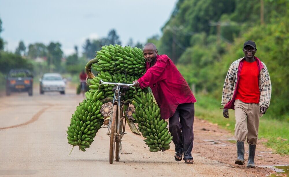 The Role of Microfinance in Uganda