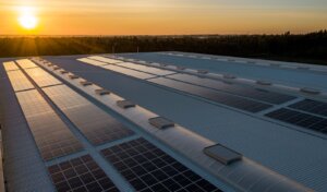 Protecting Clean Energy: The Importance of Bird-Proofing Your Company’s Solar Panels