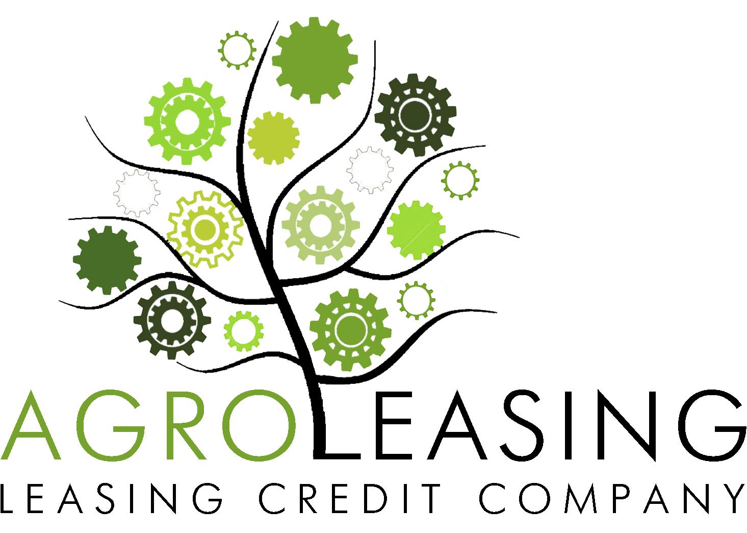 Winner Image - Agroleasing Leasing Credit Company LLC