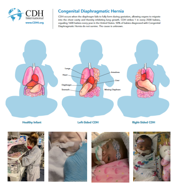 Winner Image - CDH International