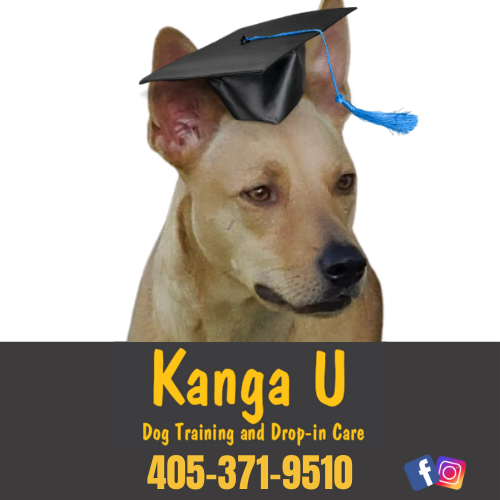 Winner Image - Kanga U Dog Training and Drop-in Care