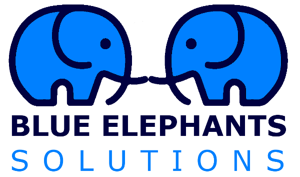 Winner Image - Blue Elephants Solutions Pte Ltd